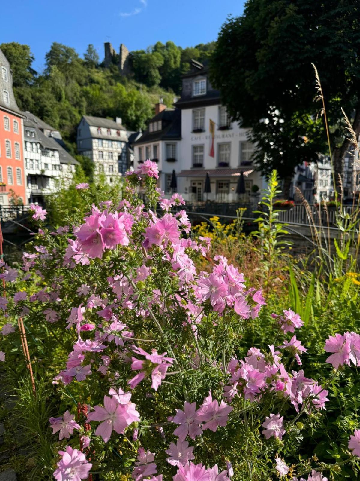 Fewo In Monschau Eksteriør billede