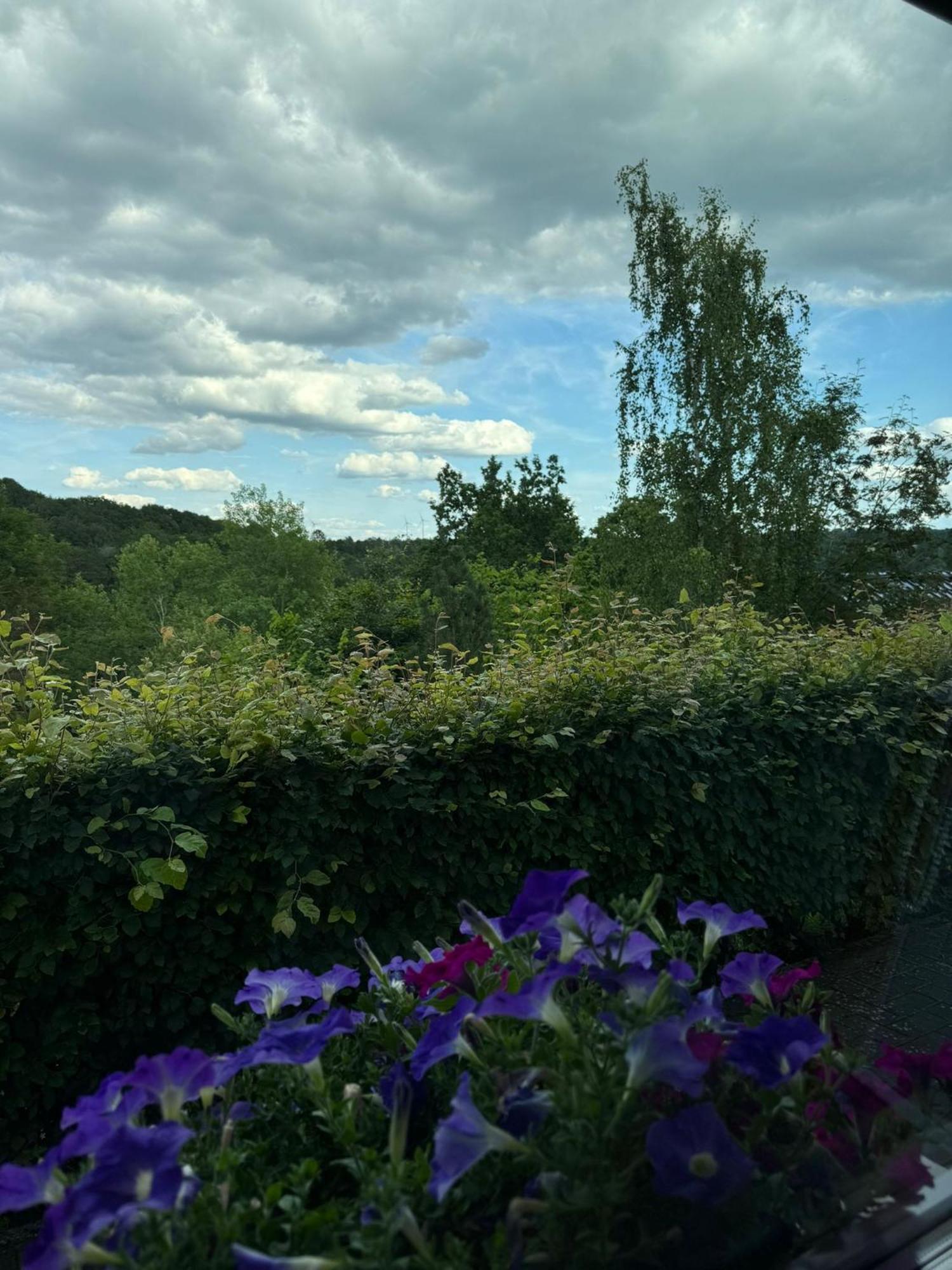 Fewo In Monschau Eksteriør billede